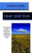 Near And True [Paperback]
