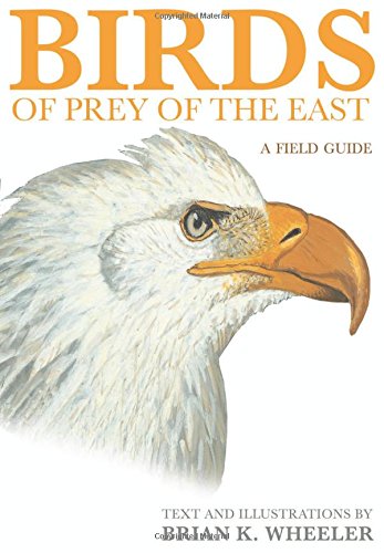 Birds of Prey of the East A Field Guide [Paperback]