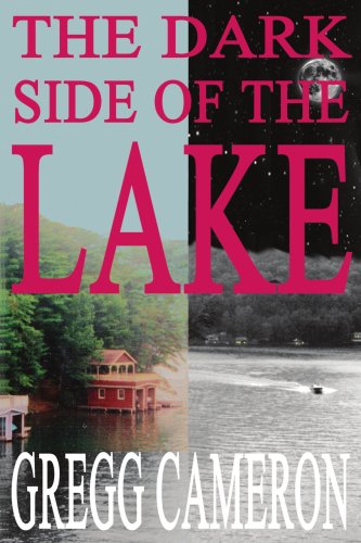 Dark Side of the Lake [Paperback]