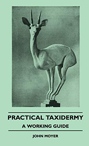 Practical Taxidermy - a Working Guide [Hardcover]