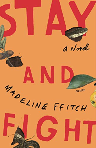Stay and Fight A Novel [Paperback]