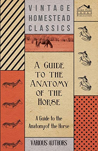 Guide to the Anatomy of the Horse - a Collection of Historical Articles on the S [Paperback]