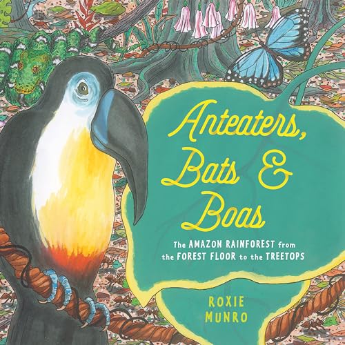 Anteaters, Bats &amp Boas The Amazon Rainforest from the Forest Floor to the T [Paperback]