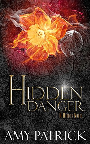 Hidden Danger, Book 5 Of The Hidden Saga A Hidden Novel [Paperback]