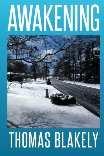 Awakening [Paperback]