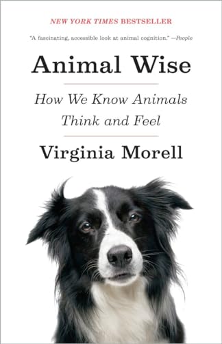Animal Wise How We Know Animals Think and Feel [Paperback]