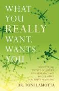 What You REALLY Want, Wants You  Uncovering Twelve Qualities You Already Have t [Hardcover]