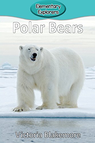 Polar Bears (elementary Explorers) [Paperback]