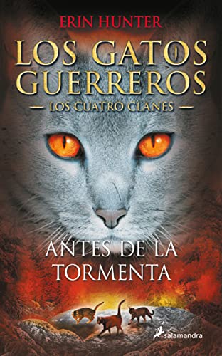 Antes de la tormenta / Rising Storm [Paperback]