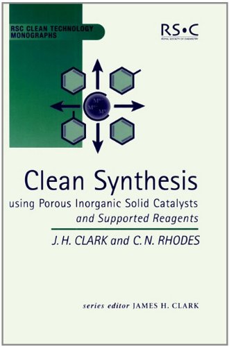 Clean Synthesis Using Porous Inorganic Solid Catalysts And Supported Reagents [Hardcover]