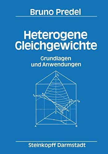 Heterogene Gleichgewichte Grundlagen und Anwendungen [Paperback]