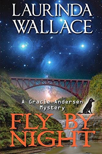 Fly By Night (a Gracie Andersen Mystery) (volume 3) [Paperback]