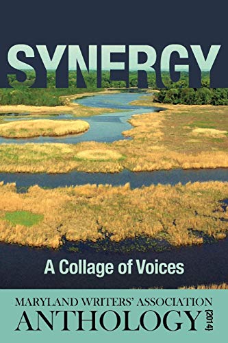Synergy A Collage Of Voices Anthology 2014 [Paperback]