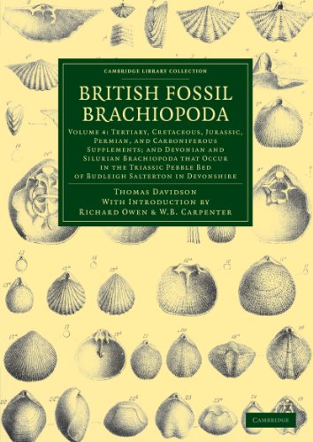 British Fossil Brachiopoda [Paperback]