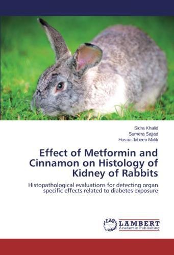 Effect Of Metformin And Cinnamon On Histology Of Kidney Of Rabbits [Paperback]