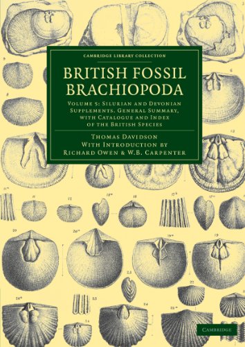 British Fossil Brachiopoda [Paperback]