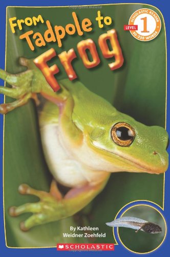 Scholastic Reader Level 1 From Tadpole to Frog [Paperback]