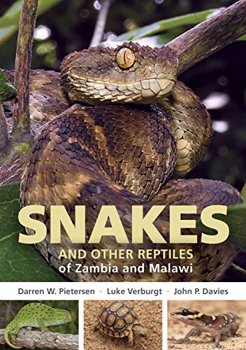 Field Guide to Snakes and other Reptiles of Zambia and Malawi [Paperback]