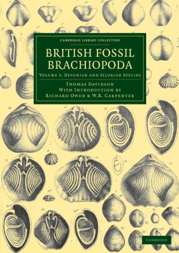 British Fossil Brachiopoda [Paperback]