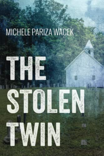The Stolen Twin [Paperback]