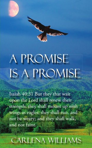 A Promise Is A Promise [Paperback]