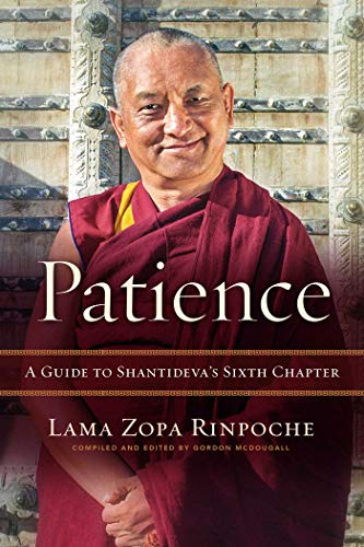 Patience A Guide to Shantideva&39s Sixth Chapter [Paperback]