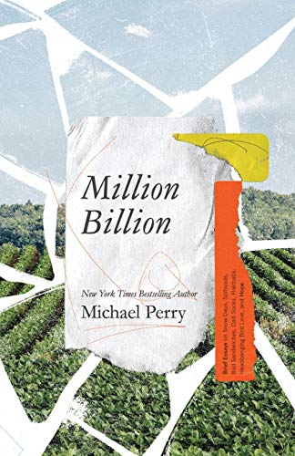 Million Billion  Brief Essays on Snow Days, Spitwads, Bad Sandwiches, Dad Socks [Paperback]