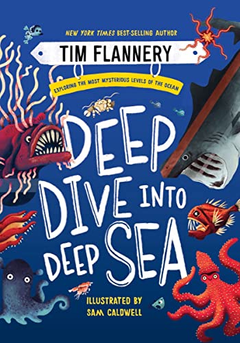 Deep Dive into Deep Sea Exploring the Most Mysterious Levels of the Ocean [Hardcover]