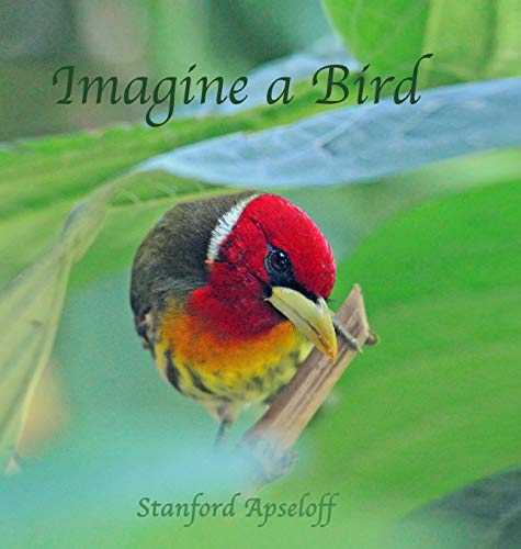 Imagine a Bird [Hardcover]