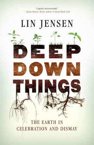 Deep Down Things The Earth in Celebration and Dismay [Paperback]