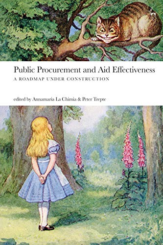 Public Procurement and Aid Effectiveness A Roadmap under Construction [Paperback]