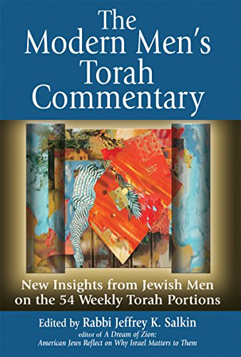 The Modern Men's Torah Commentary New Insights from Jewish Men on the 54 Weekly [Paperback]