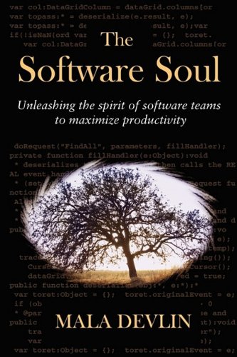 Software Soul [Paperback]