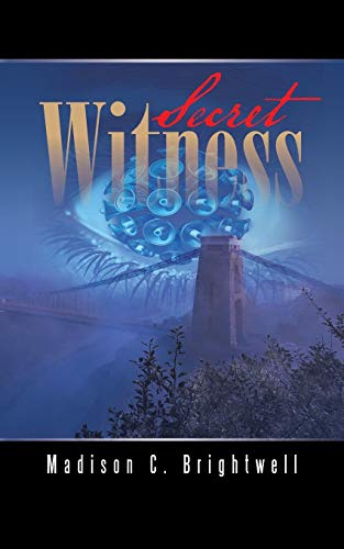 Secret Witness [Paperback]