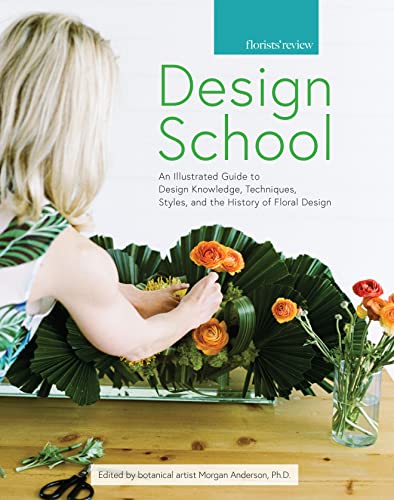 Design School An Illustrated Guide to Design Knowledge, Techniques, Styles, and [Paperback]
