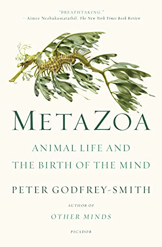 Metazoa Animal Life and the Birth of the Mind [Paperback]