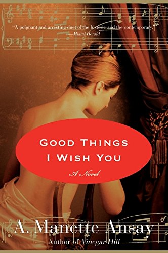 Good Things I Wish You A Novel [Paperback]