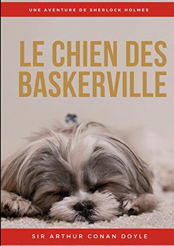 Chien des Baskerville [Paperback]