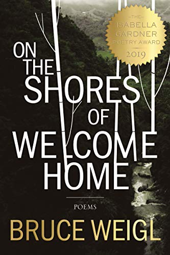 On the Shores of Welcome Home [Hardcover]