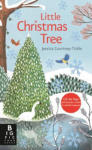 Little Christmas Tree [Board book]