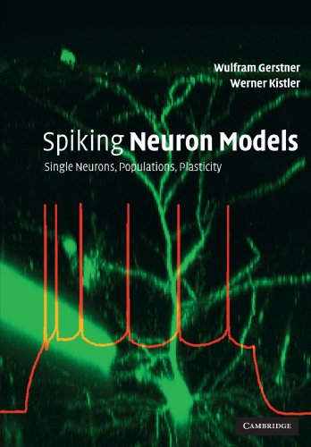Spiking Neuron Models Single Neurons, Populations, Plasticity [Paperback]