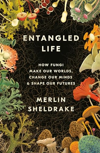 Entangled Life How Fungi Make Our Worlds, Change Our Minds &amp Shape Our Futu [Hardcover]
