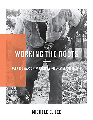 Working The Roots Over 400 Years Of Traditional African American Healing [Paperback]