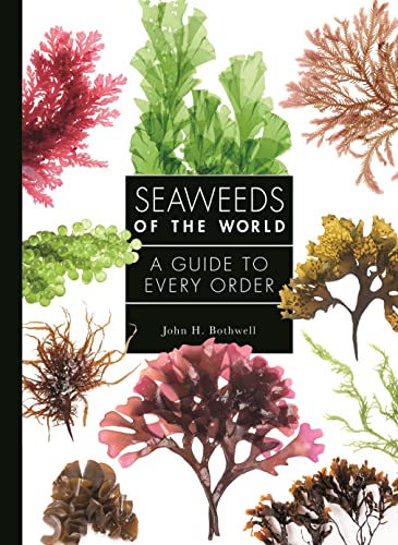 Seaweeds of the World A Guide to Every Order [Hardcover]