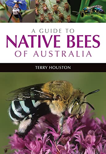 A Guide to Native Bees of Australia [Paperback]