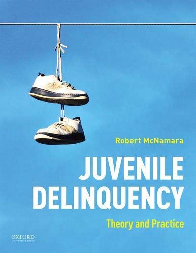 Juvenile Delinquency: Theory to Practice [Paperback]