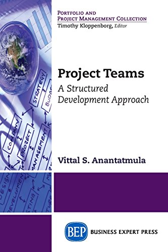Project Teams A Structured Development Approach [Paperback]