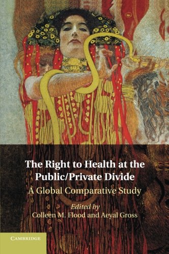 The Right to Health at the Public/Private Divide A Global Comparative Study [Paperback]