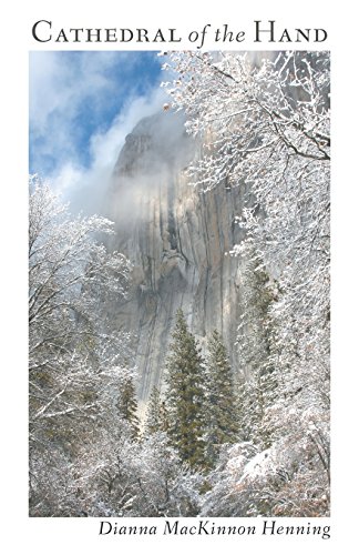 Cathedral Of The Hand [Paperback]