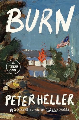Burn A novel [Paperback]